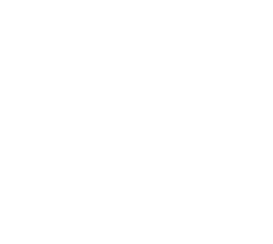 Programa eTrade d'ACCIÓ