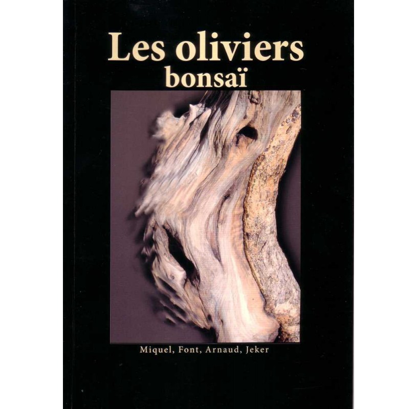 Les bonsaïs oliviers Les bonsaïs oliviers