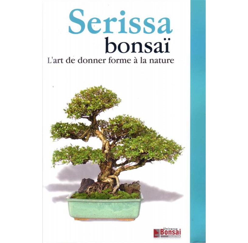 Guide bonsaï Serissa Guide bonsaï Serissa