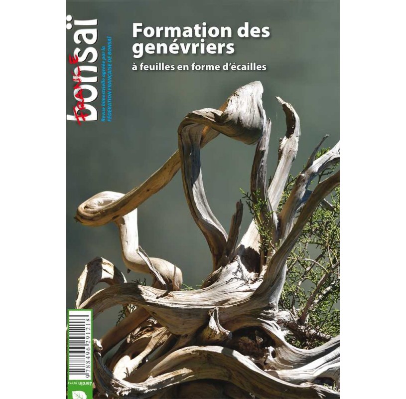 Nº 96 - FRANCE BONSAI - Formation des Genévriers Nº 96 - FRANCE BONSAI - Formation des Genévriers