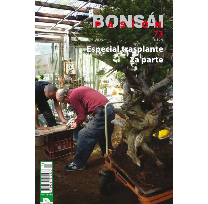 Nº 73 - BONSAI PASION - Especial trasplante (2) Nº 73 - BONSAI PASION - Especial trasplante (2)