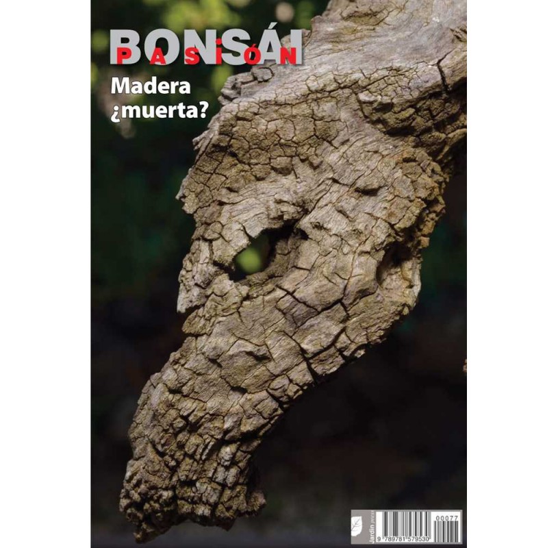 Nº 77 - BONSAI PASION - Madera muerta Nº 77 - BONSAI PASION - Madera muerta