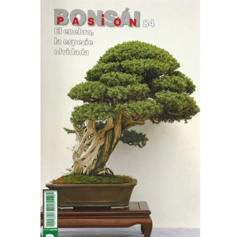Nº 84 - BONSAI PASION - El enebro, la especie olvidada Nº 84 - BONSAI PASION - El enebro, la especie olvidada