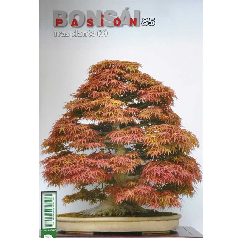 Nº 85 - BONSAI PASION - El trasplante (3) Nº 85 - BONSAI PASION - El trasplante (3)