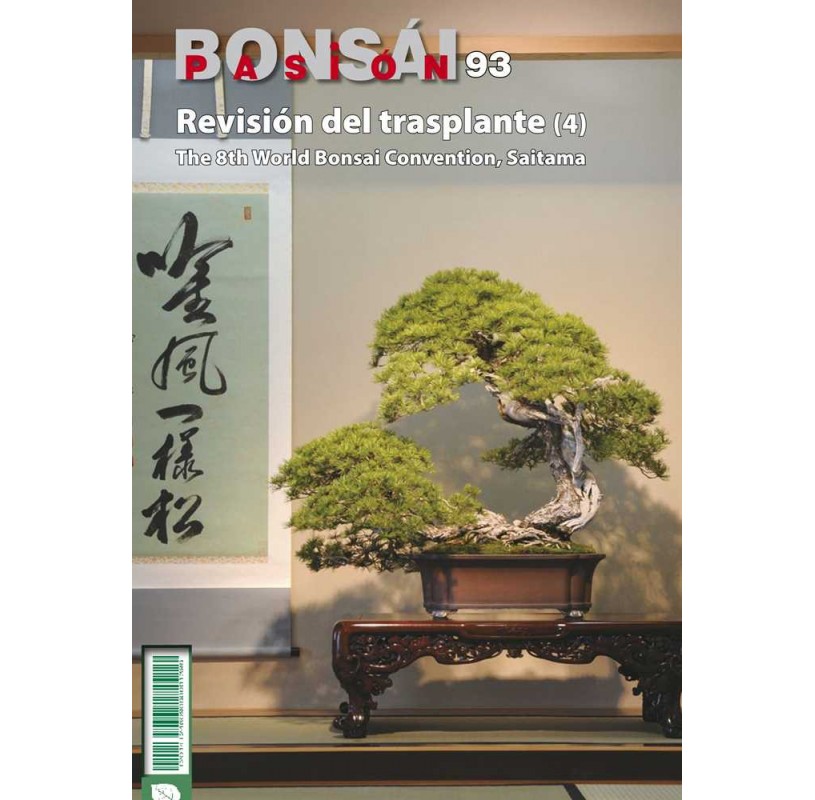 Nº 93 - BONSAI PASION - Revisión del trasplante (4) Nº 93 - BONSAI PASION - Revisión del trasplante (4)