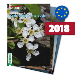 Abonnement France Bonsaï année 2018 (UE)