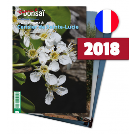 Abonnement France Bonsaï année 2018 (FRANCE)