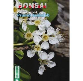 BONSAI PASION - La fertilización y el suelo (Nº 92). 
