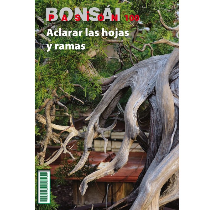 Nº 100 - BONSAI PASION - Aclarar las hojas y ramas Nº 100 - BONSAI PASION - Aclarar las hojas y ramas