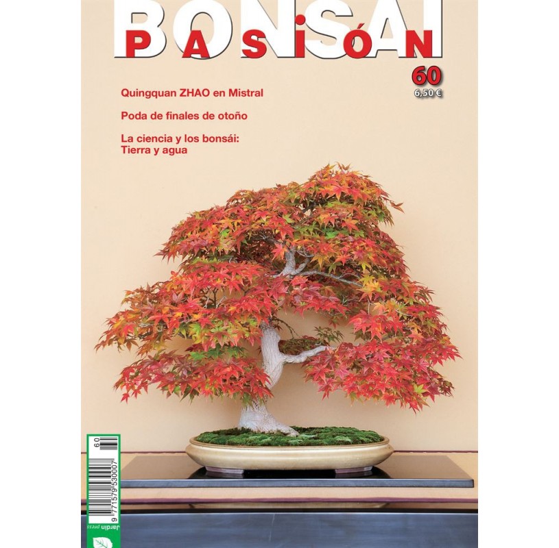 Nº 60 - BONSAI PASION Nº 60 - BONSAI PASION