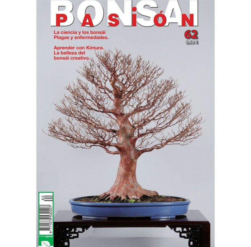 Nº 62 - BONSAI PASION Nº 62 - BONSAI PASION