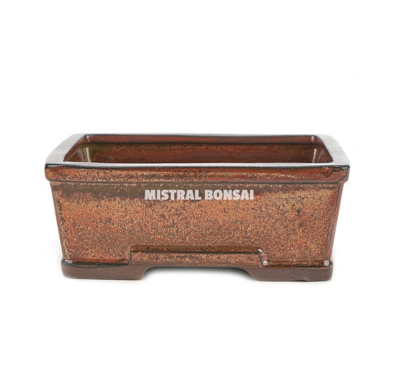 BASIC CLASS Rectangular bonsai pot 16 cm (6'') oxide BASIC CLASS Rectangular bonsai pot 16 cm (6'') oxide