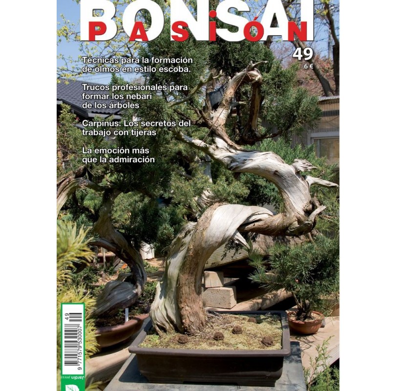 Nº 49 - BONSAI PASION Nº 49 - BONSAI PASION