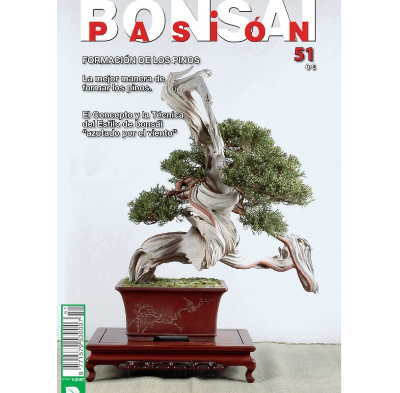 Nº 51 - BONSAI PASION Nº 51 - BONSAI PASION