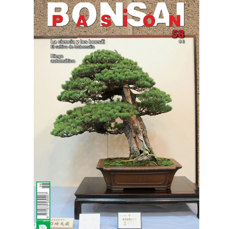 Nº 58 - BONSAI PASION Nº 58 - BONSAI PASION