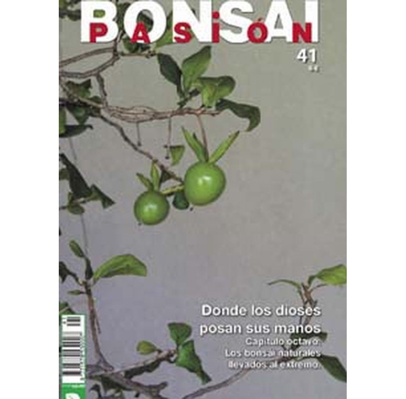 Nº 41 - BONSAI PASION Nº 41 - BONSAI PASION