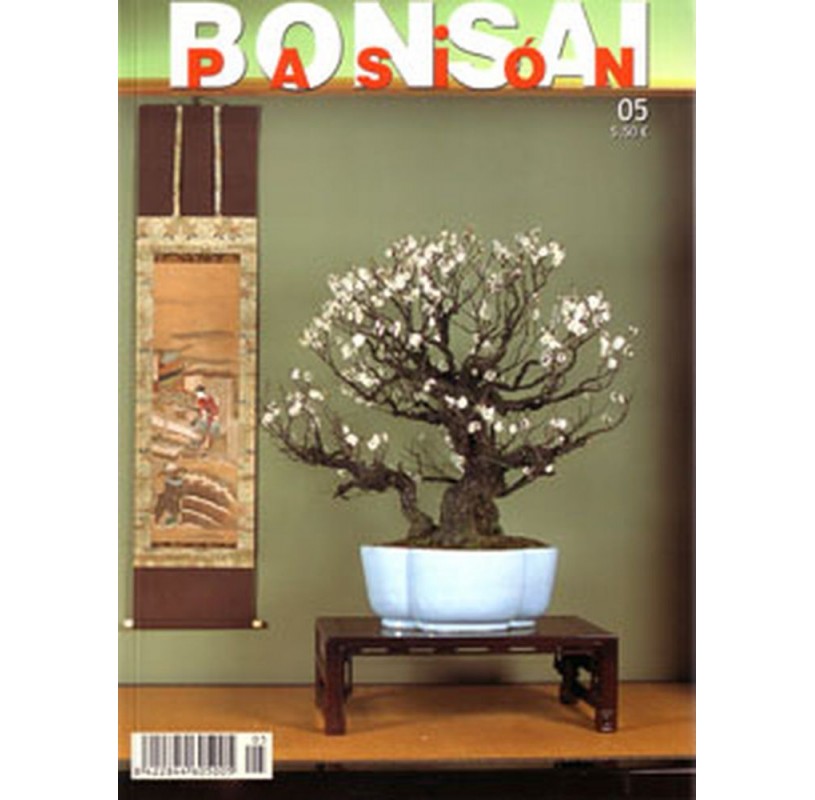 Nº 05 - BONSAI PASION Nº 05 - BONSAI PASION