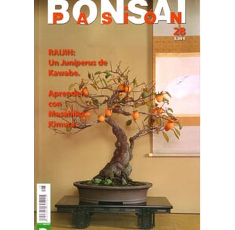 Nº 28 - BONSAI PASION Nº 28 - BONSAI PASION