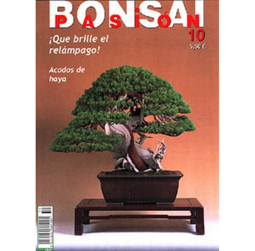 Nº 10 - BONSAI PASION Nº 10 - BONSAI PASION