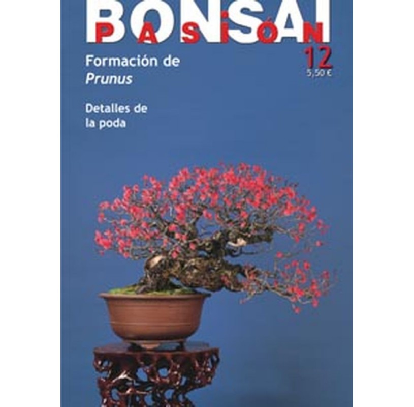 Nº 12 - BONSAI PASION Nº 12 - BONSAI PASION