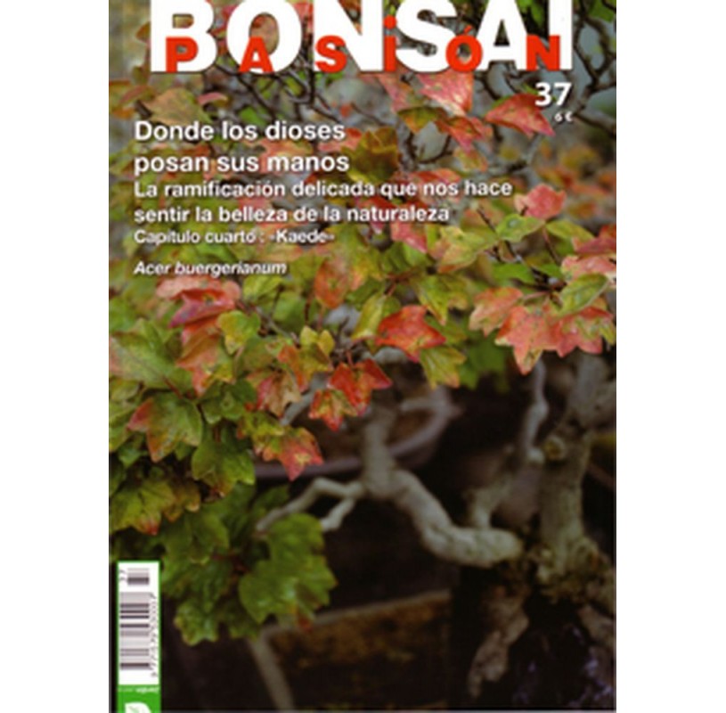 Nº 37 - BONSAI PASION Nº 37 - BONSAI PASION