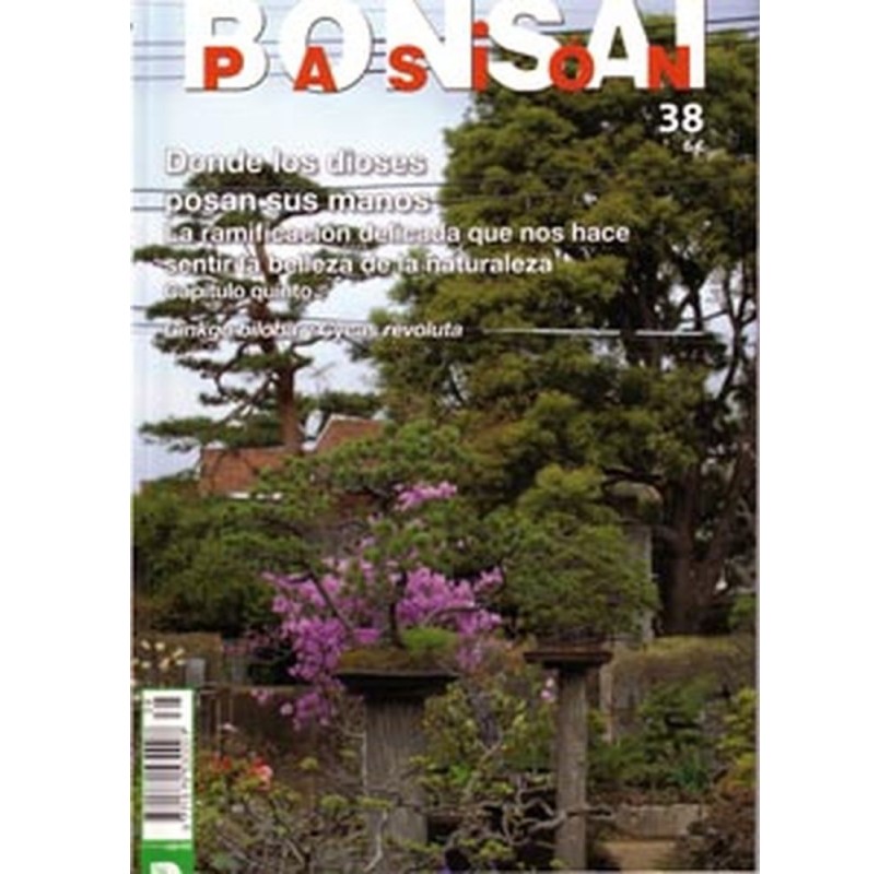 Nº 38 - BONSAI PASION Nº 38 - BONSAI PASION