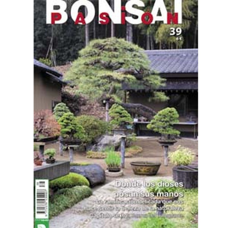 Nº 39 - BONSAI PASION Nº 39 - BONSAI PASION