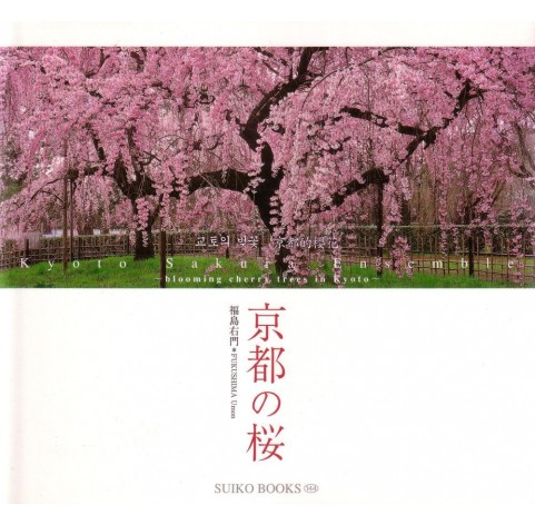 BLOOMING CHERRY TREES IN KYOTO Book