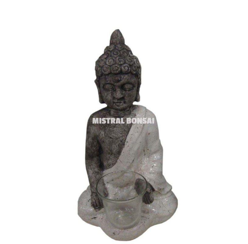Dhama Buddha avec tunique Dhama Buddha avec tunique