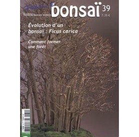 Nº 39 - FRANCE BONSAI - Évolution d'un bonsaï : Ficus carica (Nº 39)