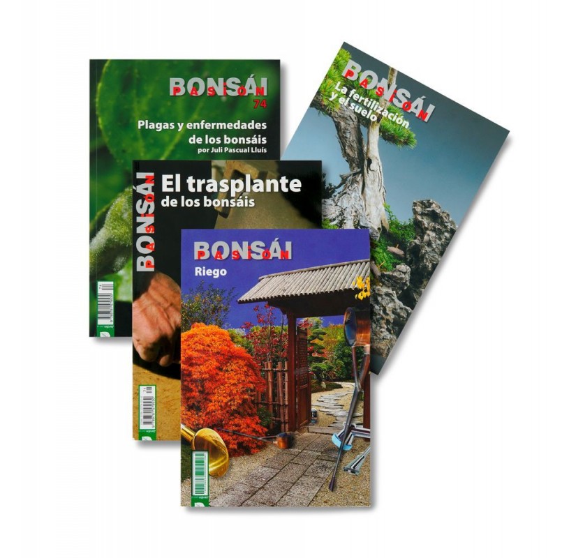 Abonnement Bonsai Pasion année 2019 (ESPAGNE) Abonnement Bonsai Pasion année 2019 (ESPAGNE)