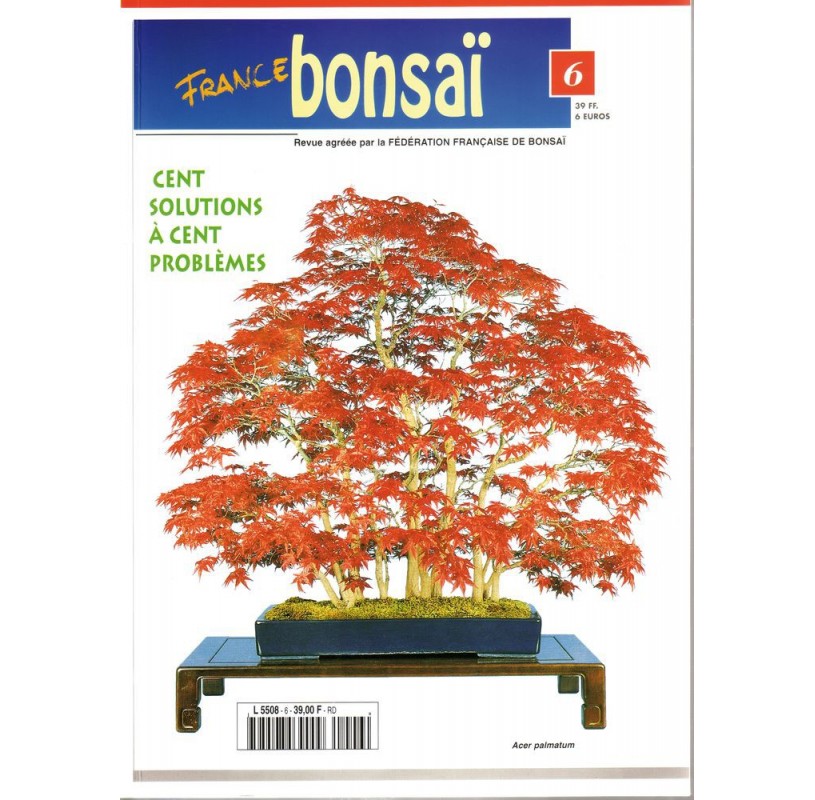 Nº 06 - FRANCE BONSAI Nº 06 - FRANCE BONSAI
