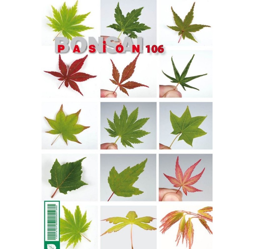 Nº 106 BONSAI PASION Cuidados anuales para mantener los Acers en buen estado. Nº 106 BONSAI PASION Cuidados anuales para mantener los Acers en buen estado.