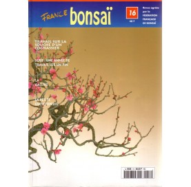 Nº 16 - FRANCE BONSAI