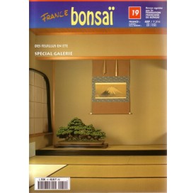 Nº 19 - FRANCE BONSAI