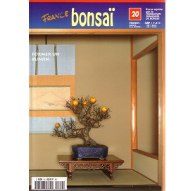 Nº 20 - FRANCE BONSAI - former un bunjin