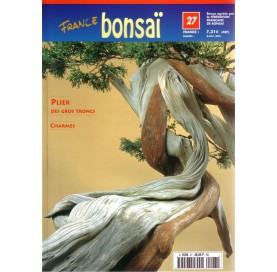 Nº 27 - FRANCE BONSAI