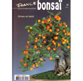 Nº 29 - FRANCE BONSAI - ormes en balai