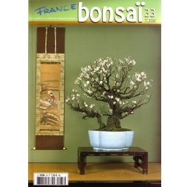 Nº 33 - FRANCE BONSAI