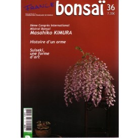 Nº 36 - FRANCE BONSAI