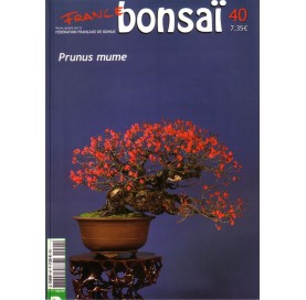 Nº 40 - FRANCE BONSAI - Prunus Mume