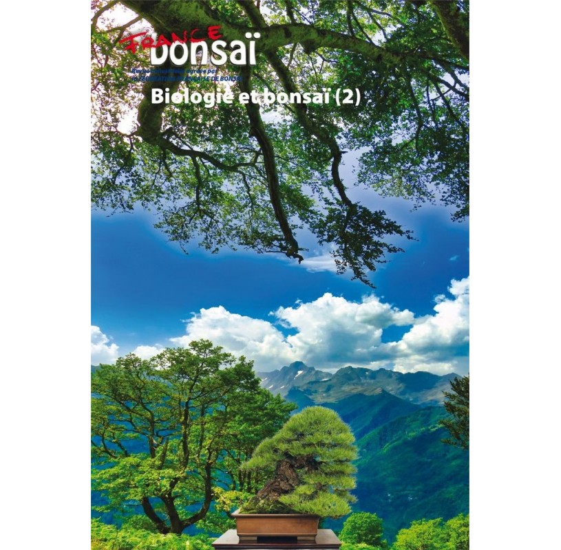 FRANCE BONSAI - Biologie et bonsaï (2) FRANCE BONSAI - Biologie et bonsaï (2)