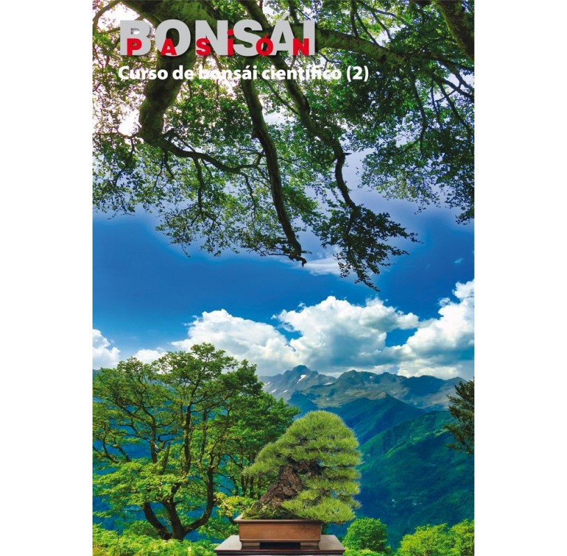 Nº 107 BONSÁI PASIÓN - Curso de bonsái científico (2) Nº 107 BONSÁI PASIÓN - Curso de bonsái científico (2)