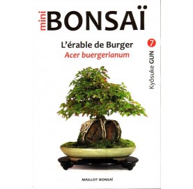 Livre MINI BONSAI : L'érable de Burger - Acer buergerianum