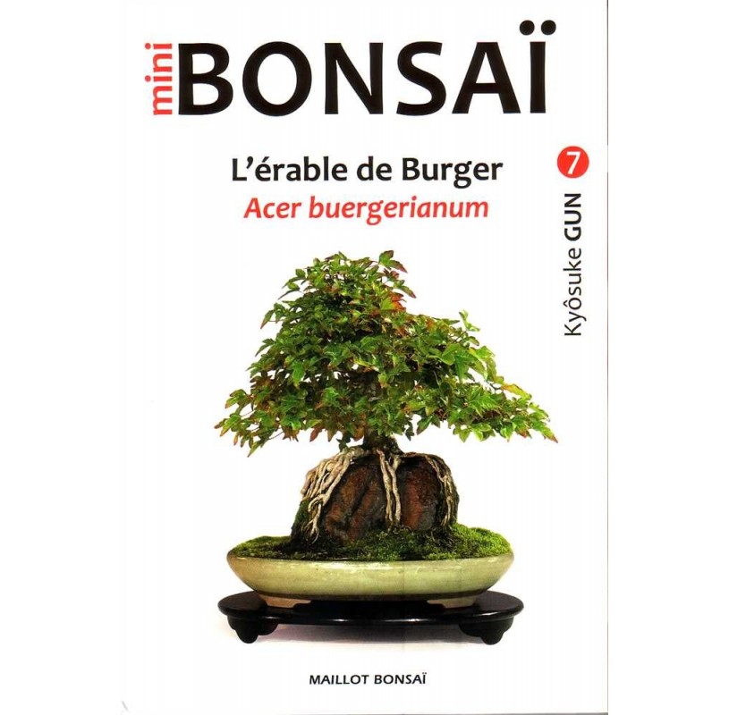 Livre MINI BONSAI : L'érable de Burger - Acer buergerianum Livre MINI BONSAI : L'érable de Burger - Acer buergerianum