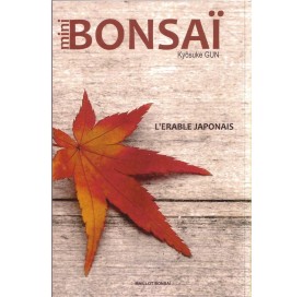 Livre MINI BONSAI : L'érable japonais