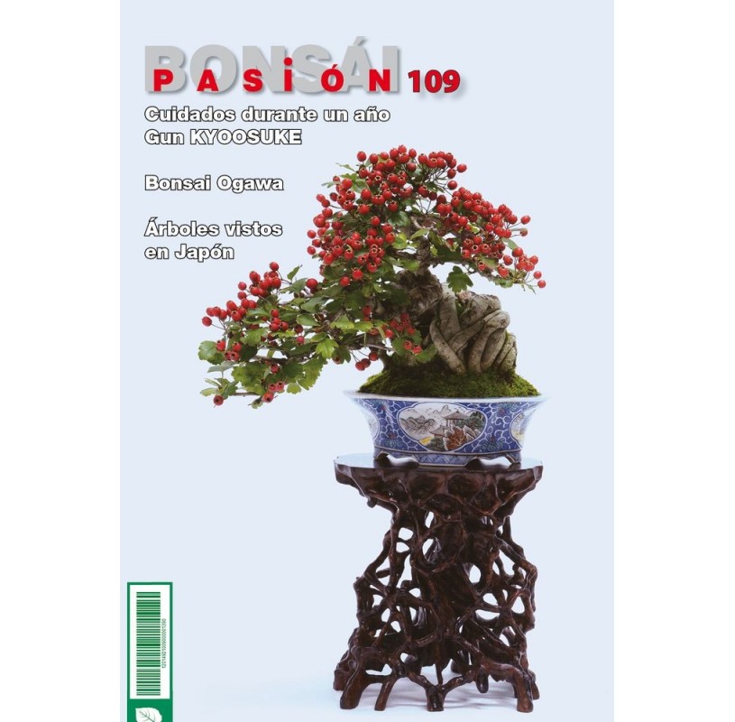 Nº 109 BONSAI PASION Nº 109 BONSAI PASION