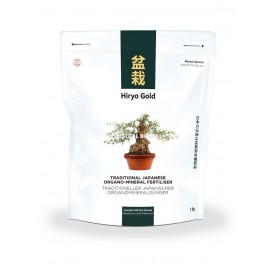 HIRYO-GOLD bonsai...