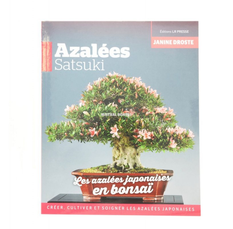 AZALEES SATSUKI, LES AZALEES JAPONAISES EN BONSAÏ AZALEES SATSUKI, LES AZALEES JAPONAISES EN BONSAÏ