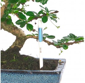 Indicador de riego blanco talla L para bonsái